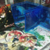 SHAKUGAN NO SHANA Temporada 1 Bluray BOX - Imagen 5