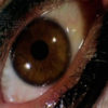 PROFONDO ROSSO Bluray (1975) - Imagen 2